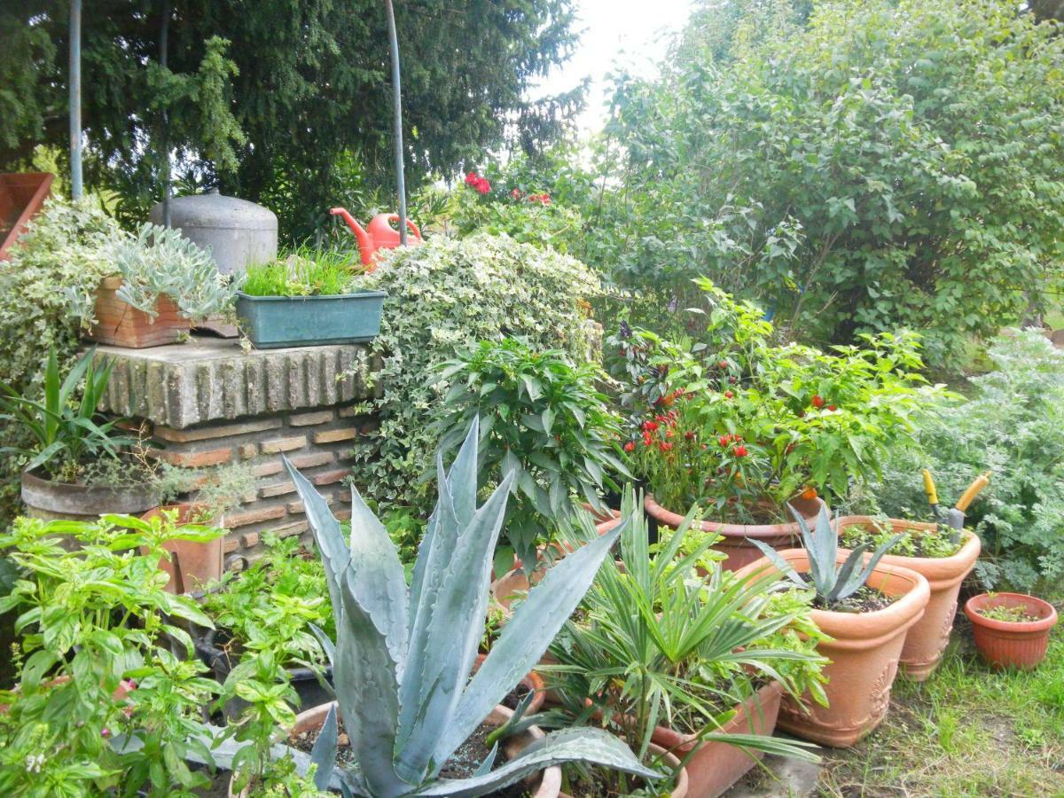 Appartamento Danilla Maratello Εξωτερικό φωτογραφία